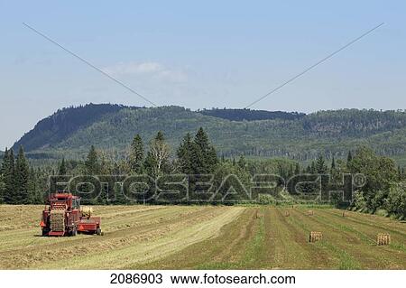 Farm tractor in a hay field; winnipeg manitoba canada View Large Photo Image Stock Image - Farm tractor in a hay field; winnipeg manitoba canada. Fotosearch