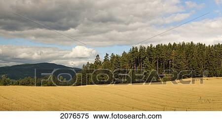 Stock Photography - Farmland and forest; highlands norway. Fotosearch