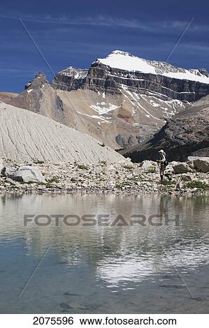 Female Hiker Along Reflective Mountain Pond With Snow Capped Mountain In The Background And Blue Sky; Field British Columbia Canada View Large Photo Image Stock Photograph - Female Hiker Along Reflective Mountain Pond With Snow Capped Mountain In The Background And Blue Sky; Field British Columbia Canada. Fotosearch