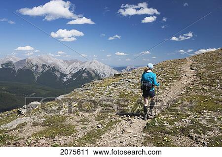 Female Hiker With Hiking Poles Along Ridge Trail With Mountians And Valley In The Distance And Blue Sky And Clouds; Alberta Canada View Large Photo Image Stock Image - Female Hiker With Hiking Poles Along Ridge Trail With Mountians And Valley In The Distance And Blue Sky And Clouds; Alberta Canada. Fotosearch