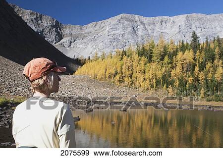 Female Looking Out Into A Mountain Pond Reflecting Fall Colours Of Larch Trees Framed By A Mountain Range And Blue Sky; Alberta Canada View Large Photo Image Stock Photo - Female Looking Out Into A Mountain Pond Reflecting Fall Colours Of Larch Trees Framed By A Mountain Range And Blue Sky; Alberta Canada. Fotosearch