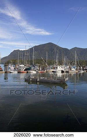 Fisherman's Wharf; Tofino British Columbia Canada View Large Photo Image Stock Image - Fisherman's Wharf; Tofino British Columbia Canada. Fotosearch