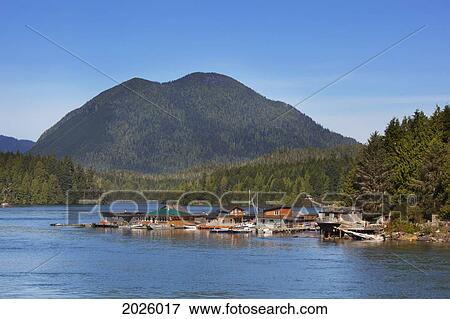 Float Homes In The Harbour; Tofino British Columbia Canada View Large Photo Image Stock Photo - Float Homes In The Harbour; Tofino British Columbia Canada. Fotosearch