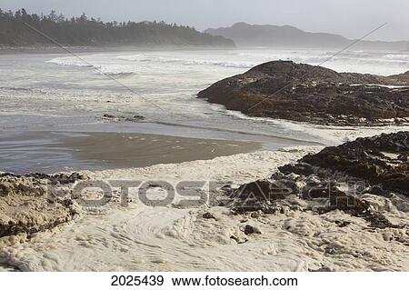 Stock Photo - Foam Forms On The Surface Of The Water At Chesterman's Beach Near Tofino; British Columbia Canada. Fotosearch