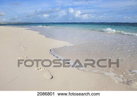 Stock Image - Footprints in the sand beside the ocean; punta cana la altagracia dominican republic. Fotosearch
