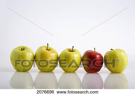 Stock Photograph - Four yellow apples with one red apple in a row on a reflective surface; calgary alberta canada. Fotosearch