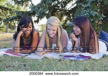 Friends Doing Homework Together In A Park; Edmonton Alberta Canada View Large Photo Image Picture - Friends Doing Homework Together In A Park; Edmonton Alberta Canada. Fotosearch