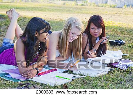 Stock Image - Friends Doing Homework Together In A Park; Edmonton Alberta Canada. Fotosearch