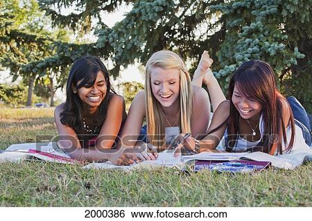 Friends Doing Homework Together In A Park; Edmonton Alberta Canada View Large Photo Image Stock Photograph - Friends Doing Homework Together In A Park; Edmonton Alberta Canada. Fotosearch