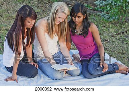 Friends Reading The Bible Together In A Park; Edmonton Alberta Canada View Large Photo Image Stock Image - Friends Reading The Bible Together In A Park; Edmonton Alberta Canada. Fotosearch