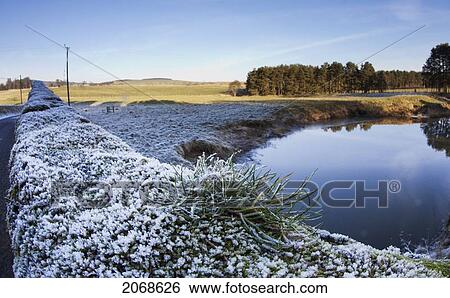 Frost On The Grass Along The Shore; Northumberland England View Large Photo Image Stock Photograph - Frost On The Grass Along The Shore; Northumberland England. Fotosearch