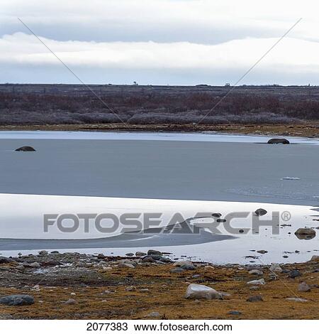 Frozen water and shoreline with tundra landscape; churchill manitoba canada View Large Photo Image Stock Image - Frozen water and shoreline with tundra landscape; churchill manitoba canada. Fotosearch