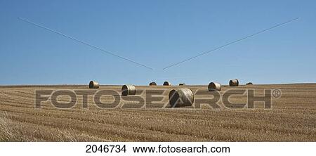 Picture - Hay Bales In A Field; Haut-Rhin France. Fotosearch