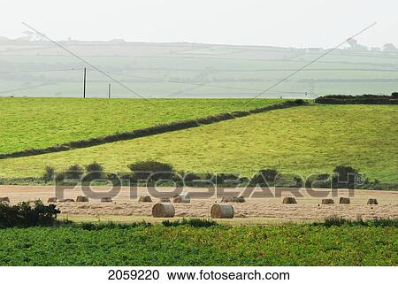 Stock Image - Hay Bales In A Field; Ireland. Fotosearch