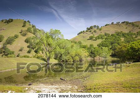 Hills small lake and trees in sutter buttes; sutter california united states of america View Large Photo Image Picture - Hills small lake and trees in sutter buttes; sutter california united states of america. Fotosearch