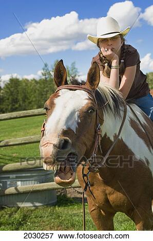 Horse Making A Funny Face While Being Ridden By A Young Cowgirl; Edmonton Alberta Canada View Large Photo Image Stock Photo - Horse Making A Funny Face While Being Ridden By A Young Cowgirl; Edmonton Alberta Canada. Fotosearch