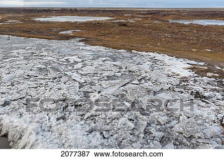 Ice and snow along the shoreline and tundra landscape; churchill manitoba canada View Large Photo Image Stock Photo - Ice and snow along the shoreline and tundra landscape; churchill manitoba canada. Fotosearch