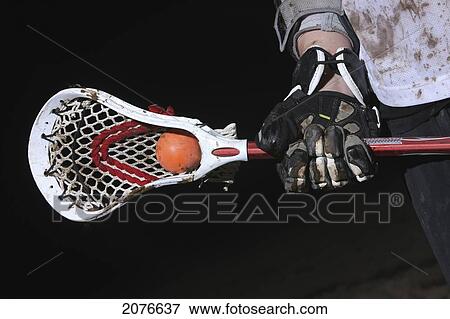 Lacrosse stick with ball sitting in it; troutdale oregon united states of america View Large Photo Image Stock Photo - Lacrosse stick with ball sitting in it; troutdale oregon united states of america. Fotosearch