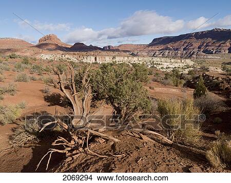 Picture - Landscape In Paria Canyon; Arizona United States Of America. Fotosearch