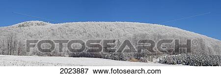 Landscape Of A Mountain Covered In Trees; East Hill Quebec Canada View Large Photo Image Stock Photo - Landscape Of A Mountain Covered In Trees; East Hill Quebec Canada. Fotosearch