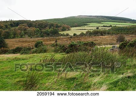 Landscape With Trees And Grass On The Hills; Ireland View Large Photo Image Picture - Landscape With Trees And Grass On The Hills; Ireland. Fotosearch