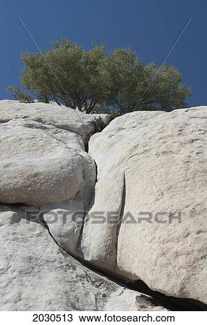 Large Rounded Rock With Cracks And Desert Shrub And Blue Sky; Palm Springs California United States Of America View Large Photo Image Stock Image - Large Rounded Rock With Cracks And Desert Shrub And Blue Sky; Palm Springs California United States Of America. Fotosearch