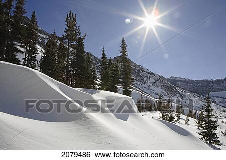 Large snow drift in mountain bowl with sun burst and blue sky; waterton alberta canada View Large Photo Image Stock Photograph - Large snow drift in mountain bowl with sun burst and blue sky; waterton alberta canada. Fotosearch