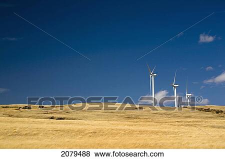 Large wind mills on grassy hill ridge with blue sky and clouds; pincher creek alberta canada View Large Photo Image Stock Photo - Large wind mills on grassy hill ridge with blue sky and clouds; pincher creek alberta canada. Fotosearch