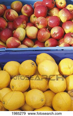 Lemons And Apples For Sale At Outdoor Market; Macroom County Cork Republic Of Ireland View Large Photo Image Stock Photo - Lemons And Apples For Sale At Outdoor Market; Macroom County Cork Republic Of Ireland. Fotosearch