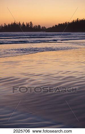 Stock Photograph - Long Beach At Sunset A Surfer's Paradise In Pacific Rim National Park Near Tofino; British Columbia Canada. Fotosearch