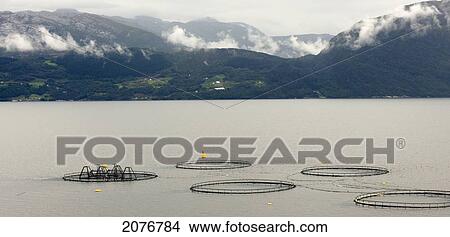 Picture - Low cloud over the mountains along the shoreline of hardangerfjord; hardangervidda norway. Fotosearch