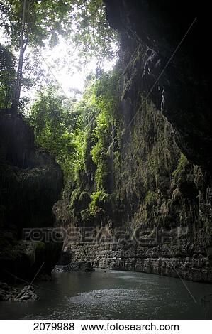 Stock Photo - Lush trees along a river; green canyon pangandaran java indonesia. Fotosearch