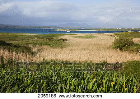 Mannin Bay Near Ballyconneely; County Galway Ireland View Large Photo Image Stock Photograph - Mannin Bay Near Ballyconneely; County Galway Ireland. Fotosearch