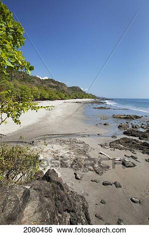 Montezuma beach; puntarenas costa rica View Large Photo Image Stock Photograph - Montezuma beach; puntarenas costa rica. Fotosearch