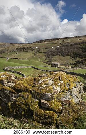 Moss covered stone wall and rolling hills; swaledale england View Large Photo Image Stock Photo - Moss covered stone wall and rolling hills; swaledale england. Fotosearch