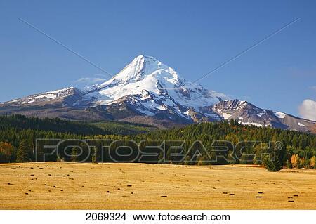 Picture - Mount Hood; Oregon United States Of America. Fotosearch