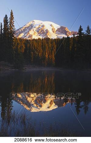 Stock Photograph - Mount rainier reflected in a lake at sunrise in mount rainier national park; washington state united states of america. Fotosearch