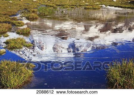 Stock Image - Mount rainier reflected in a small alpine pond in paradise park mt. rainier national park; washington state united states of america. Fotosearch