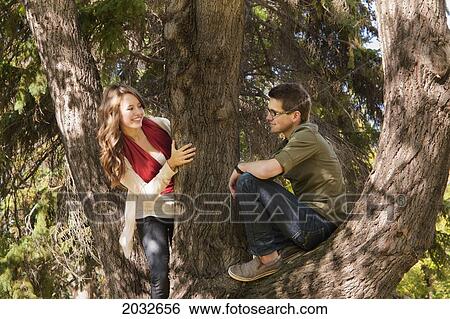 Stock Photograph - Newlywed Couple In A Large Tree In A Park; Edmonton Alberta Canada. Fotosearch