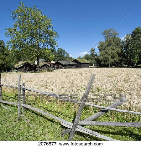 Norsk folkemuseum; oslo norway View Large Photo Image Stock Photo - Norsk folkemuseum; oslo norway. Fotosearch