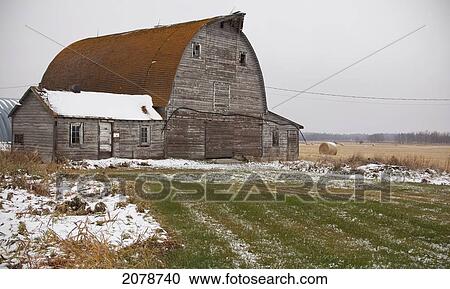 Old dairy barn and milkhouse on retired farmland; parkland county alberta canada View Large Photo Image Stock Image - Old dairy barn and milkhouse on retired farmland; parkland county alberta canada. Fotosearch