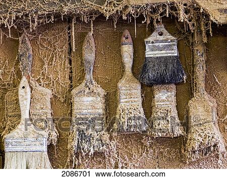 Paintbrushes are covered in dust and sawdust on as they hang on a wall; duncan british columbia canada View Large Photo Image Stock Image - Paintbrushes are covered in dust and sawdust on as they hang on a wall; duncan british columbia canada. Fotosearch