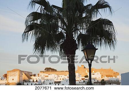 Palm tree and lamp post and the old town; vejer de la frontera andalusia spain View Large Photo Image Stock Image - Palm tree and lamp post and the old town; vejer de la frontera andalusia spain. Fotosearch