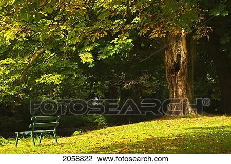 Park Bench Beside The Owenriff River In Oughterard Village; County Galway Connacht Region Ireland View Large Photo Image Stock Image - Park Bench Beside The Owenriff River In Oughterard Village; County Galway Connacht Region Ireland. Fotosearch