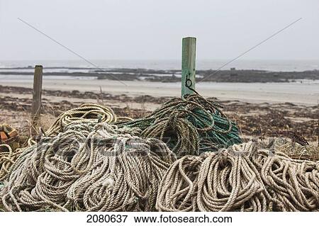 Stock Photo - Piles of various ropes and wooden posts at the water's edge; boulmer northumberland england. Fotosearch