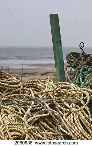 Piles of various ropes at the water's edge; boulmer northumberland england View Large Photo Image Stock Photograph - Piles of various ropes at the water's edge; boulmer northumberland england. Fotosearch