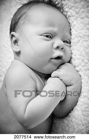 Portrait of an infant; edmonton alberta canada View Large Photo Image Picture - Portrait of an infant; edmonton alberta canada. Fotosearch