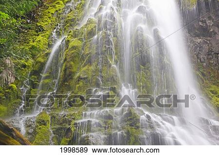 Proxy Falls In Willamette National Forest; Oregon United States Of America View Large Photo Image Stock Photo - Proxy Falls In Willamette National Forest; Oregon United States Of America. Fotosearch