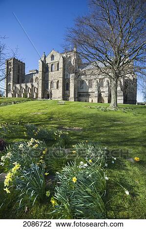 Ripon cathedral; ripon yorkshire england View Large Photo Image Stock Image - Ripon cathedral; ripon yorkshire england. Fotosearch