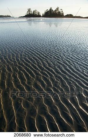 Ripples Form In The Sand At Chesterman's Beach And Frank Island Near Tofino; British Columbia Canada View Large Photo Image Stock Image - Ripples Form In The Sand At Chesterman's Beach And Frank Island Near Tofino; British Columbia Canada. Fotosearch